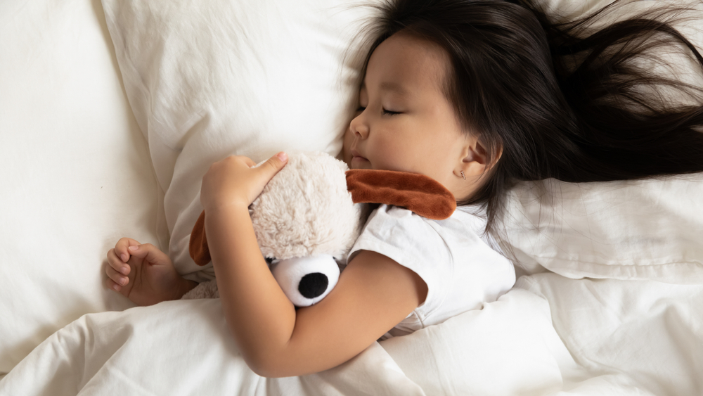 What Age Are Loft Beds Suitable For? Childrens Bed Shop